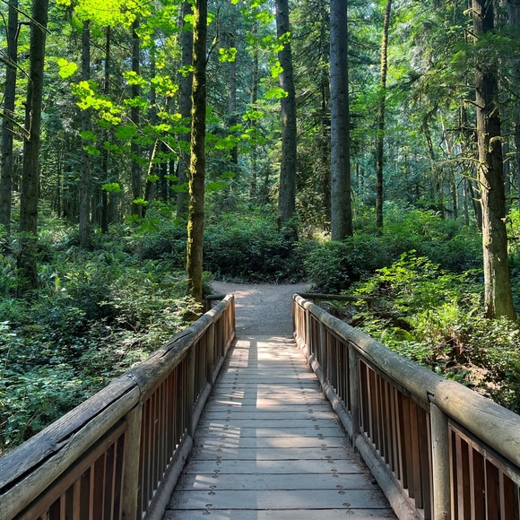 Meet your Posher - Picture 1 of 1